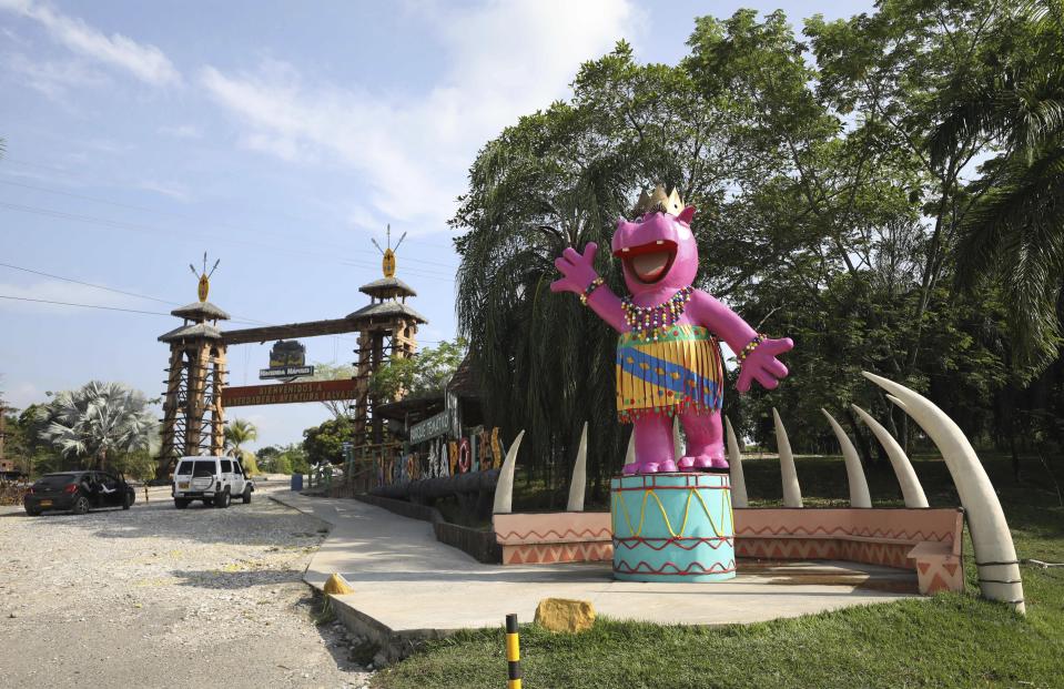 A pink statue of a hippo greets tourists at Hacienda Napoles Park in Puerto Triunfo, Colombia, Thursday, Feb. 4, 2021. Hacienda Napoles was once a private zoo with illegally imported animals that belonged to drug trafficker Pablo Escobar. (AP Photo/Fernando Vergara)