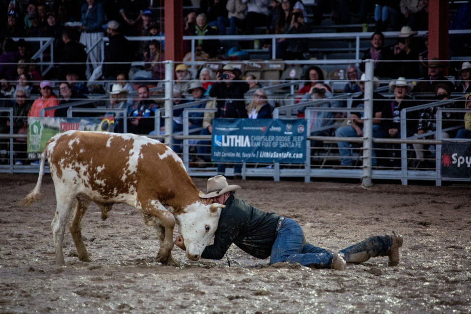 A cowboy wrestles a steer in the mud at the Rodeo de Santa Fe on Wednesday, June 22, 2022 in Santa Fe, New Mexico. (Photo by Mati Milstein/NurPhoto via Getty Images)