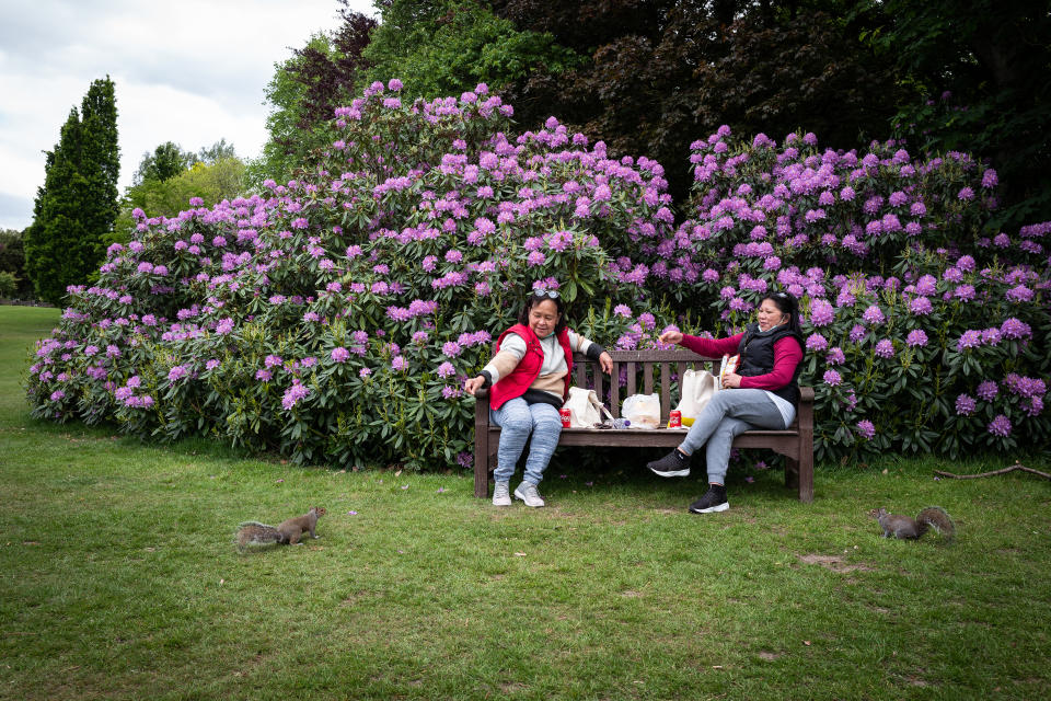 Two women feed the squirrels as they chat and enjoy a picnic on a bench in Golders Hill Park in London.