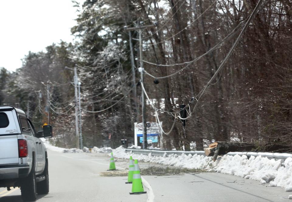 A large tree rests on a guard rail Monday, March 25, 2024 after it took down wires on Route 4 in Sanford during the ice storm on Saturday night.