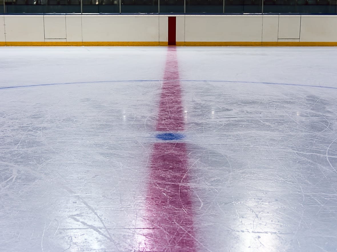 Niagara police say a 17-year-old from Grimsby, Ont., has been charged with assault with a weapon after a hockey player was hit in the head with a stick during a game last month. (Shooter Bob Squar/Shutterstock - image credit)