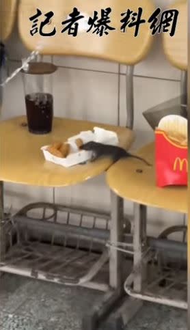 網路流傳一段影片，一隻老鼠大喇喇直接叼走麥克雞塊，讓學生嚇壞尖叫。(圖／翻攝自記者爆料網)