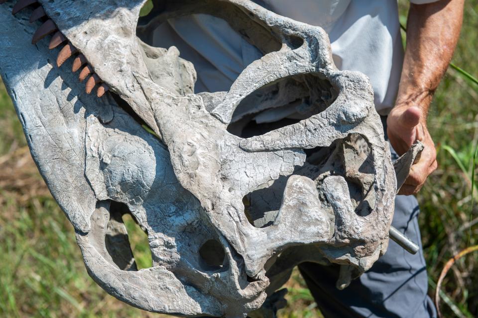 David King, professor of geology at Auburn University, holds a replica of an Appalachiosaurus fossil at the site he discovered it 40 years ago in Southeastern Montgomery County, Ala., on Wednesday, June 22, 2022.