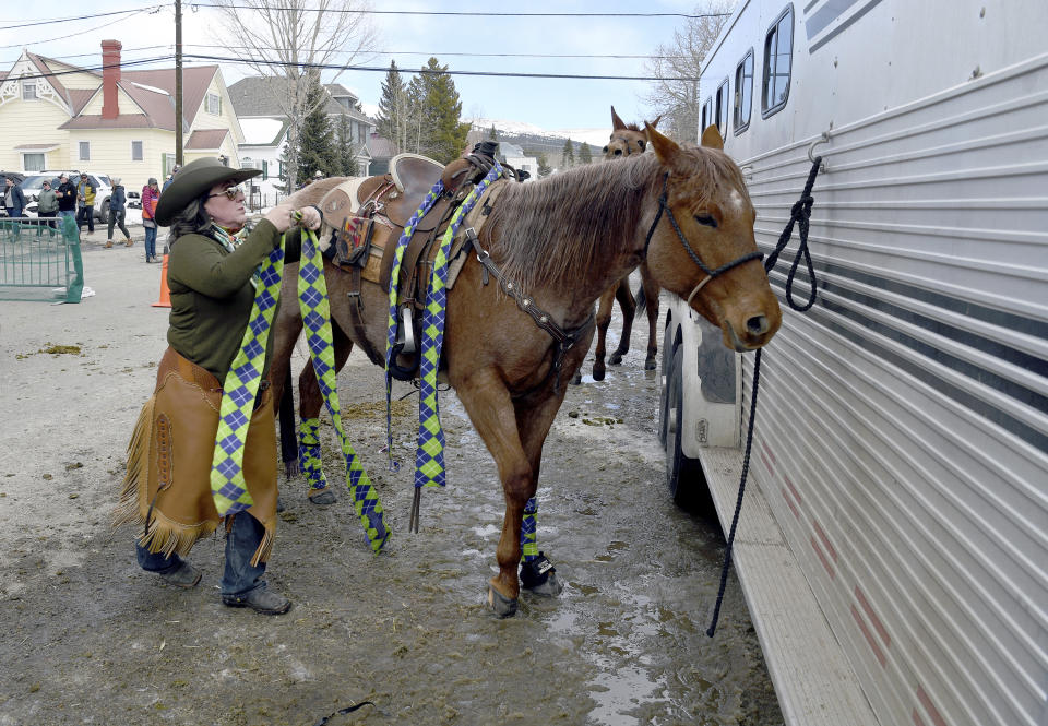 Holly Binnian tends to her horse Tamale at a skijoring competition in Leadville, Colo., on Saturday, March 2, 2024. Skijoring draws its name from the Norwegian word skikjoring, meaning "ski driving." It started as a practical mode of transportation in Scandinavia and became popular in the Alps around 1900. Today's sport features horses at full gallop towing skiers by rope over jumps and around obstacles as they try to lance suspended hoops with a baton, typically a ski pole that's cut in half. (AP Photo/Thomas Peipert)