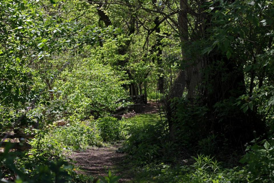 Toronto's ravines can be explored by hiking or biking (Adam Kuplowsky)