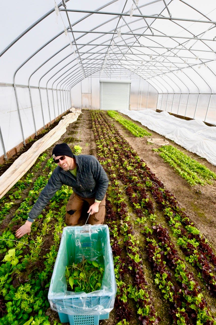 Richard Vinz in the winter greenhouse.