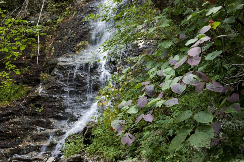 Massachusetts: Mount Greylock State Reservation