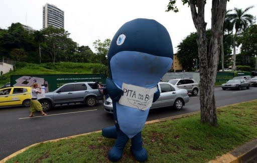 Activists demand the creation of a South Atlantic whale sanctuary, in front of the hotel where the 64th International Whaling Commission meeting is taking place, in Panama City on July 4. Denmark lost a bid to extend whaling by Greenland's indigenous people beyond this year, with EU nations sharing concerns that tourists were being served a glut of whale meat