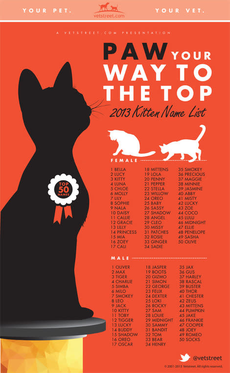 Most Popular Kitten Names of 2013