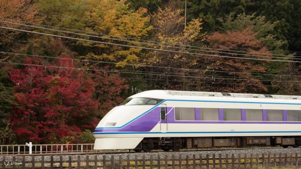 NIKKO PASS Digital Ticket. (Photo: Klook SG)