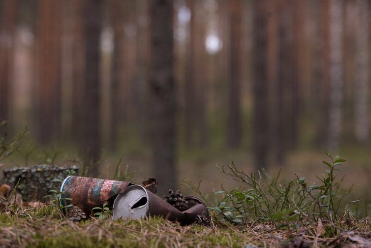 Rusty beer cans discarded in a forest.