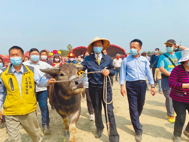 立法院長游錫堃（前右二）20日到嘉義縣新港鄉頂菜園發展協會參加牛墟市集活動，由縣長翁章梁（右一）、頂菜園發展協會理事長陳明惠（左一）等人陪同牽著3歲水牛進場。（張亦惠攝）