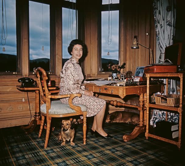 PHOTO: Queen Elizabeth II at the writing desk in her study with a few of her Corgis, at Balmoral Castle, Scotland, in 1972.  (Hulton Archive/Getty Images)