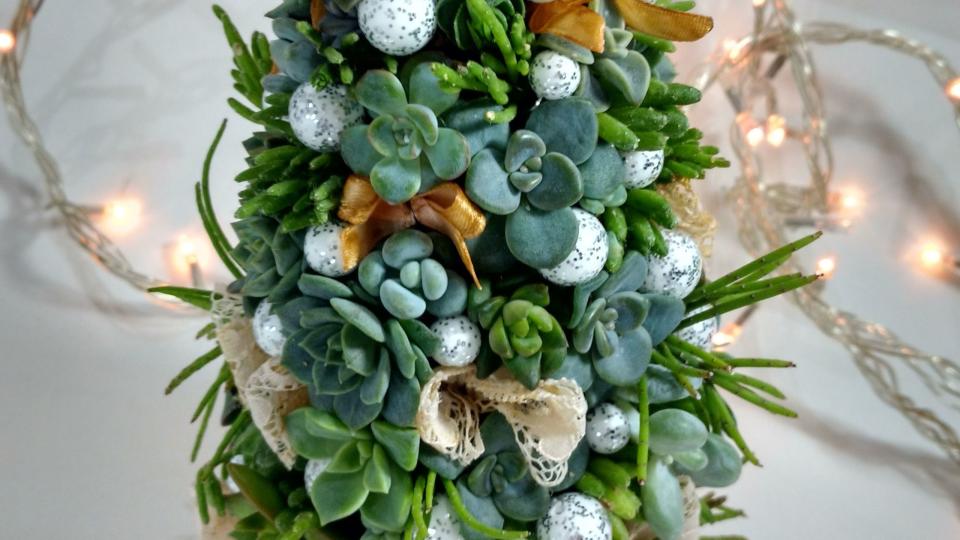 decorative succulent christmas tree