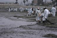 Workers, dressed in protective suits, continue to clean Conchitas Beach contaminated by an oil spill, in Ancon, Peru, Thursday, Jan. 20, 2022. The oil spill on the Peruvian coast was caused by the waves from an eruption of an undersea volcano in the South Pacific nation of Tonga. (AP Photo/Martin Mejia)