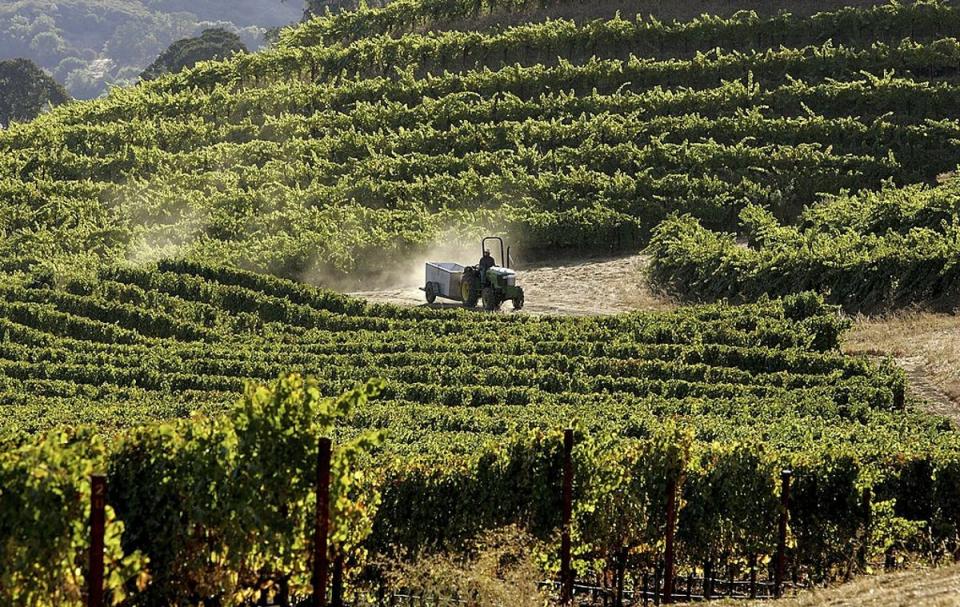 A winery in Napa Valley, northern California, pictured in 2006. The area is being forced to adapt to the impacts of the climate crisis (Getty Images)