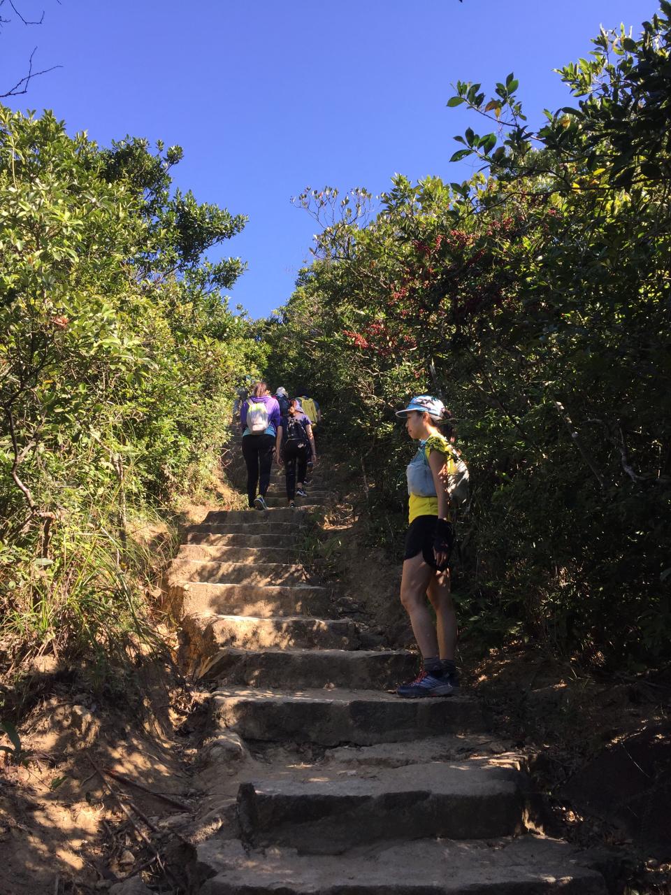 行山路線｜新手入門龍脊路線！CNN旅遊網推薦零難度睇無敵大海景