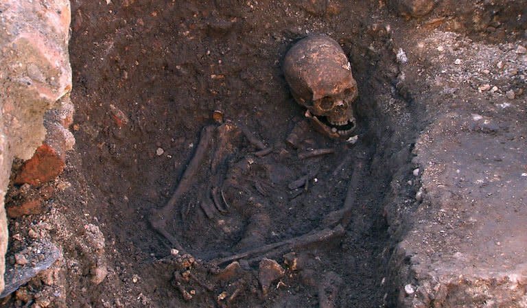 An undated picture released on February 4, 2013 by the University of Leicester shows the skeleton of king Richard III found at the Greyfriars Church excavation site in the city of Leicester, central England