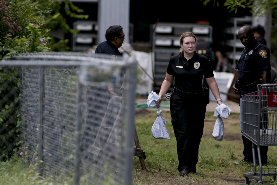 An San Antonio Animal Care Services officer carries bags containing snakes removed from a home in the 500 block of Kayton Avenua on San Antonio's Southside, Wednesday, Sept. 5, 2018. Around 100 snakes, including two 12-15 foot long reticulated pythons were discovered at the home. (Josie Norris/The San Antonio Express-News via AP)