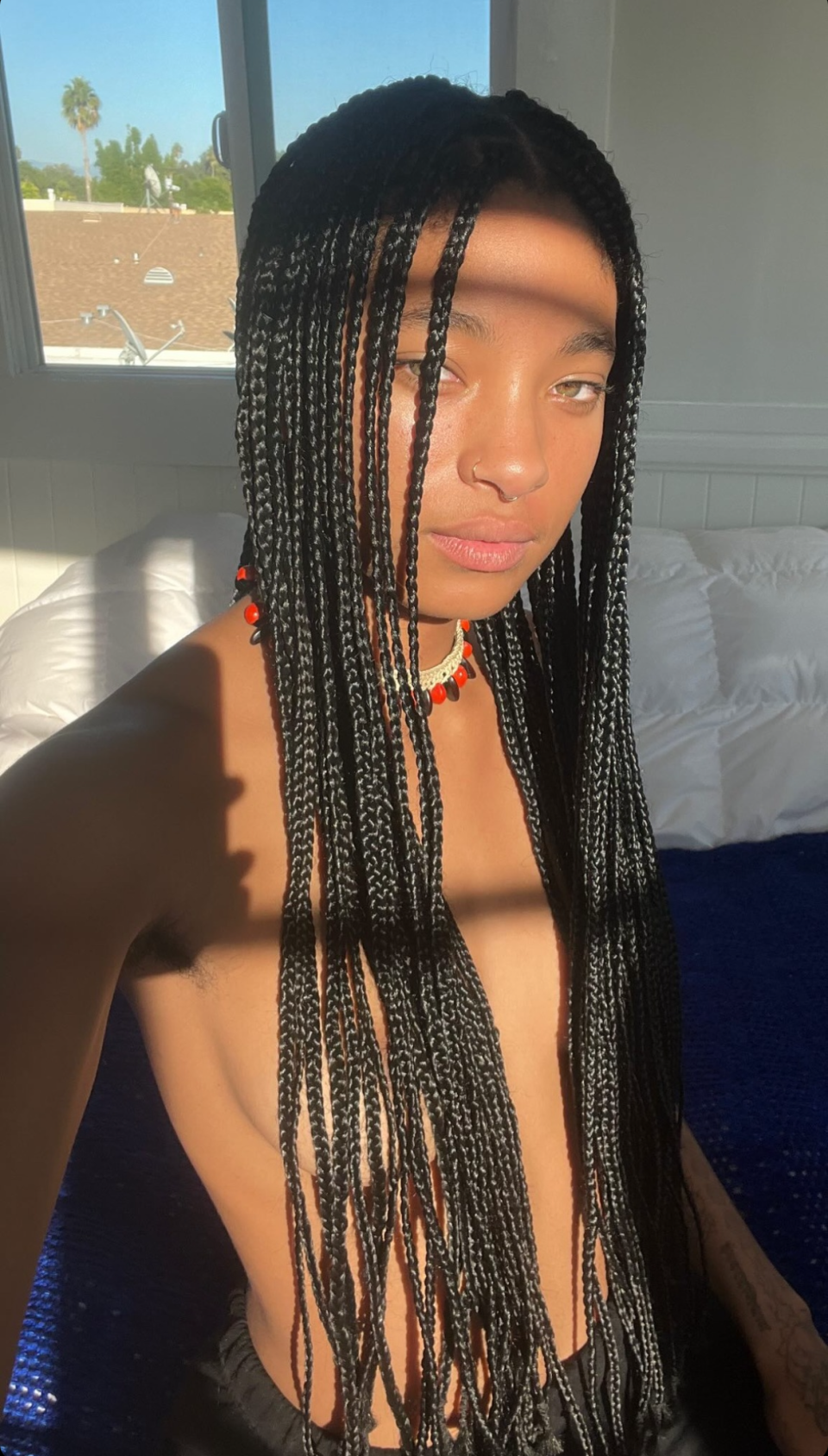 <h1 class="title">willow smith long braids</h1><cite class="credit">Instagram/Willow Smith</cite>