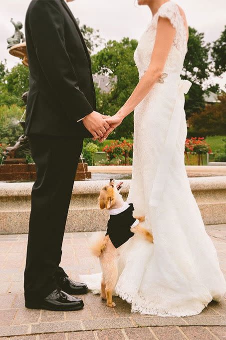 Don a Dapper Tuxedo