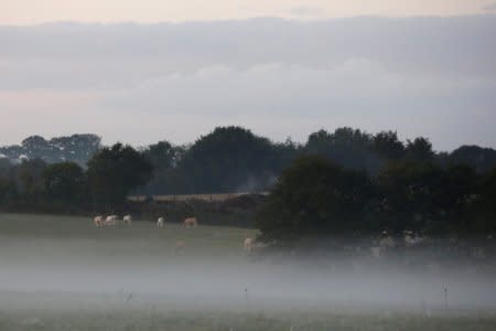 FILE PHOTO: General view of the countryside in the zoned ZAD (Deferred Development Zone) in Notre-Dame-des-Landes, western France, October 18, 2016. REUTERS/Stephane Mahe/File Photo