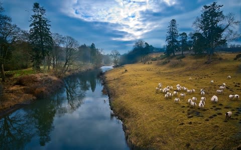 A view of the River Till - Credit: getty