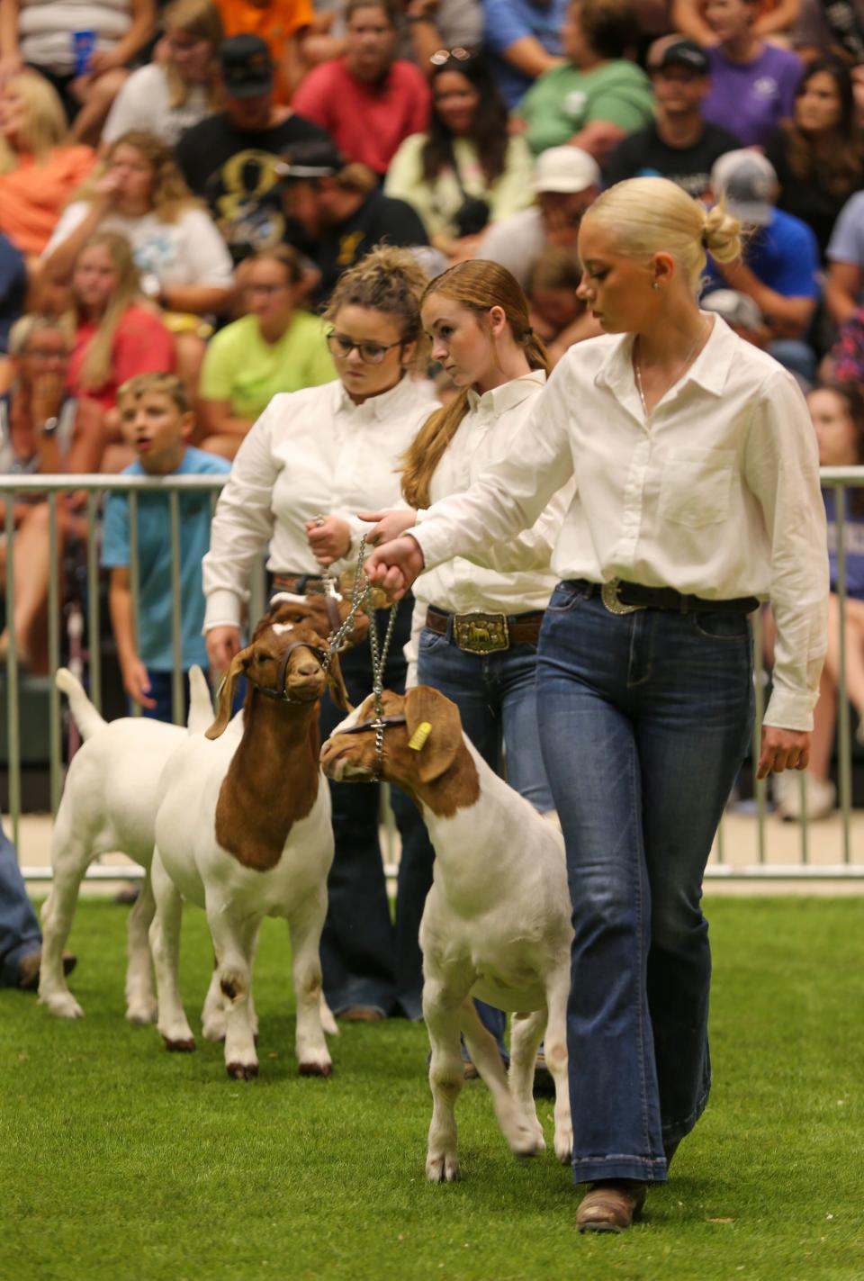 Ryley McGee, Skylar Sheets, and Rachel Townsend guide their goats around the course at the 2022's 4-H Supreme Livestock Showmanship, Thursday, July 21, 2022, at the Tippecanoe County 4-H Fairgrounds in Lafayette, Ind.