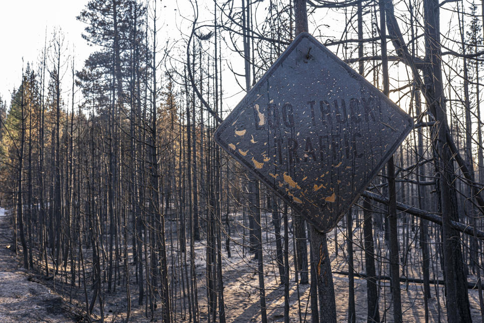 A fire-damaged sign hangs near trees burned by the Bootleg Fire on Wednesday, July 21, 2021 in Bly, Ore. (AP Photo/Nathan Howard)