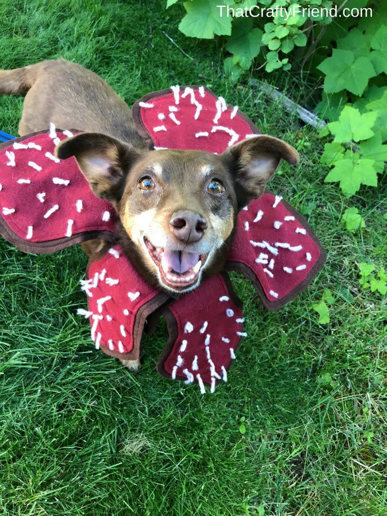 Demogorgon Dog Costume