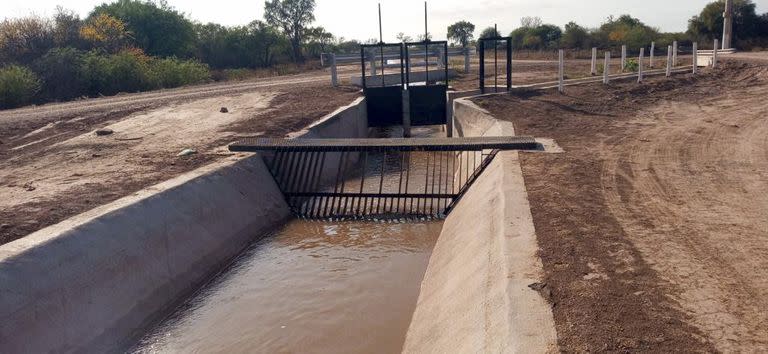 Luego de la controversia por las dramáticas imágenes de osos hormigueros atrapados en un canal artificial de agua en Santiago del Estero, la provincia analiza hacer obras para evitar más problemas con los animales