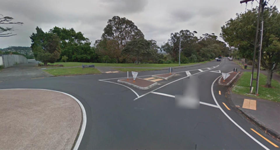 The two teens were moved on from the Western Springs Road and Mountain View Road roundabout in Auckland. Source: Google Maps
