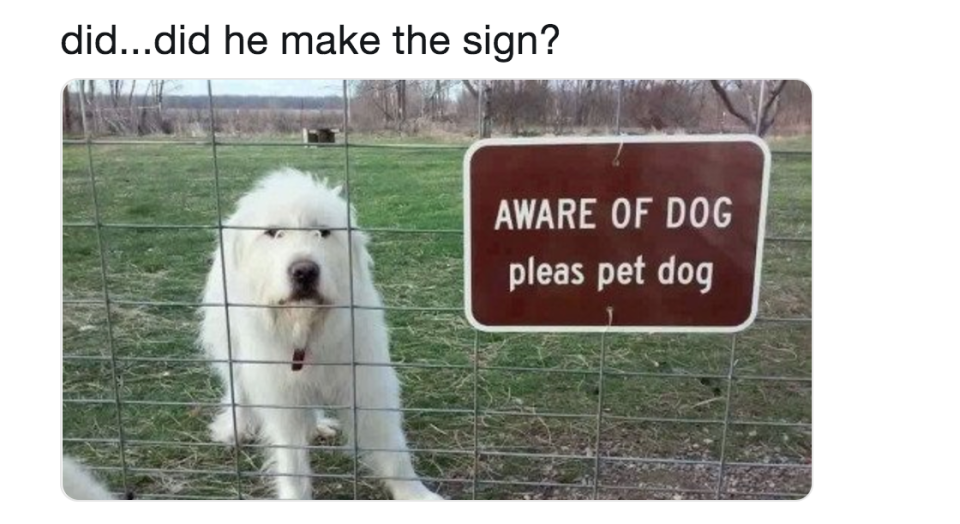 A Schemin' Pup