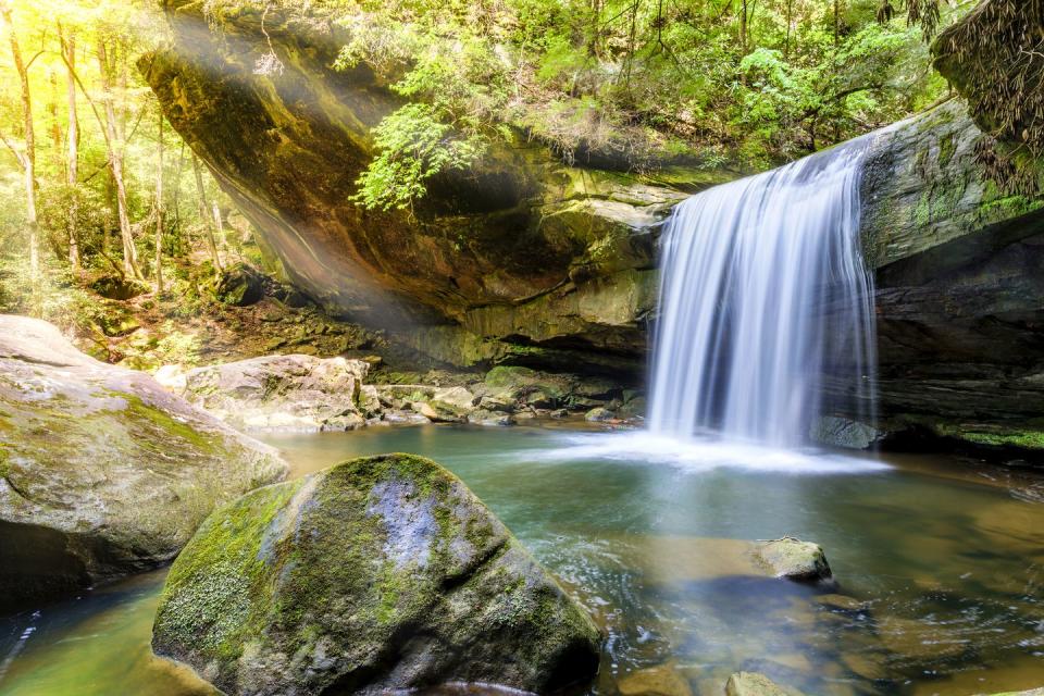 Daniel Boone National Forest - Kentucky