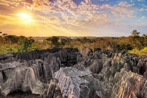 The Tsingy de Bemaraha Strict Nature Reserve - Credit: dennisvdwater - Fotolia/Dennis van de Water