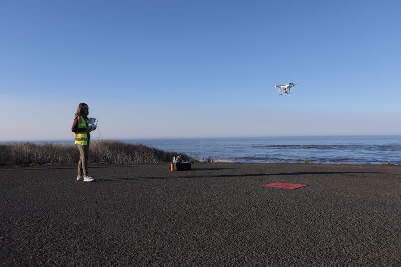 Nature Conservancy scientist Vienna Saccomanno flies a drone near Gualala, California