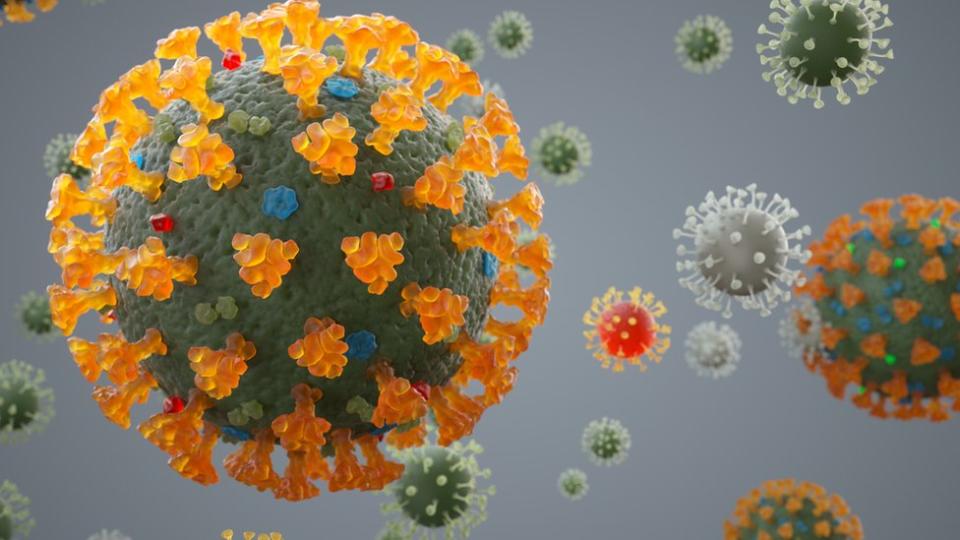 coronavirus