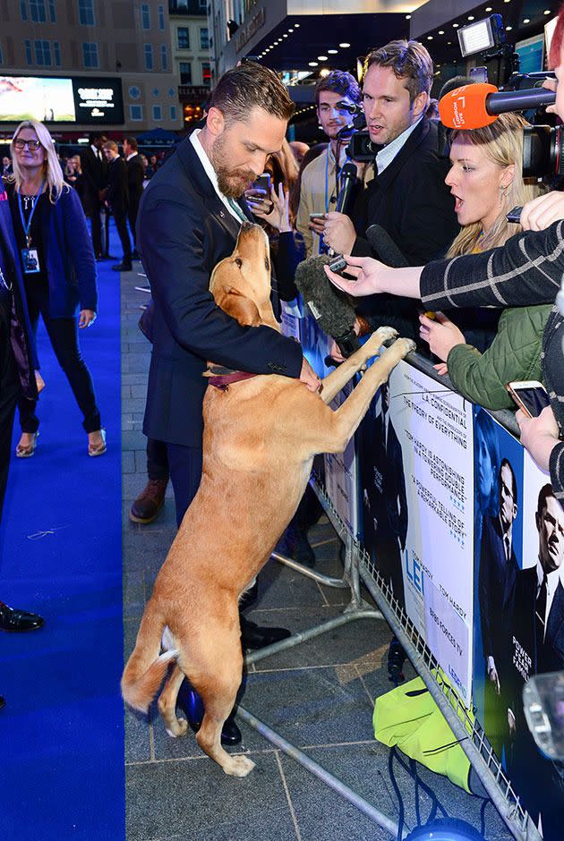 Tom Hardy and Woody meet the press (and fans) at the 'Legend' premiere. Photo: Splash Images