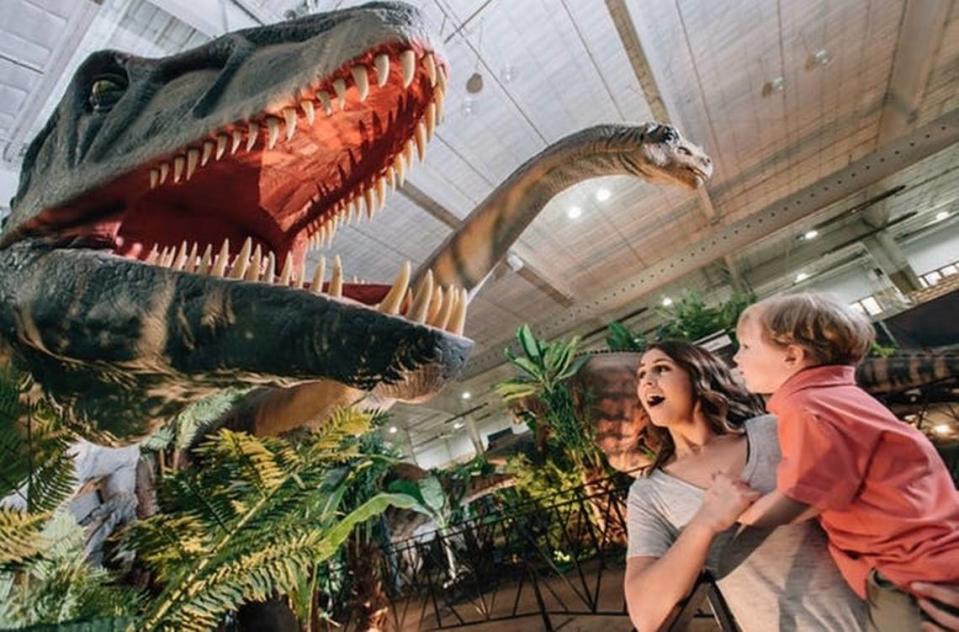 Kids can see and even pet dinos at Jurassic Quest at the Central Bank Center this weekend.