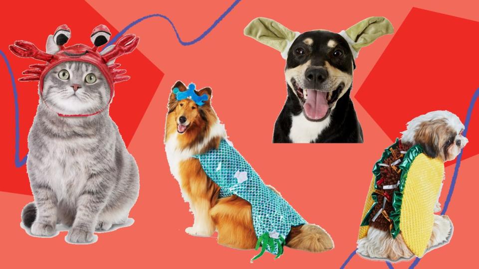 We found 2020's funniest Halloween costumes for dogs and cats from Chewy, Petco, Target, Amazon, Etsy and more. (Photo: HuffPost Finds)