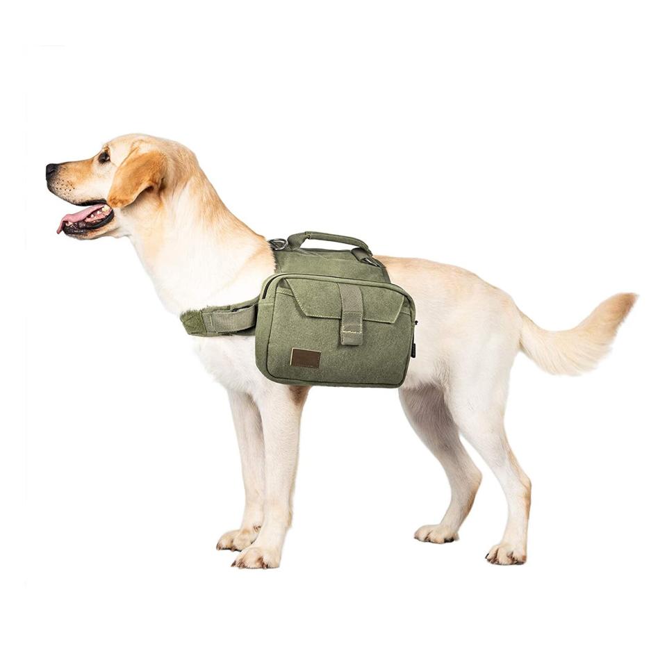 onetigris-dog-pack-hound-travel-backpack