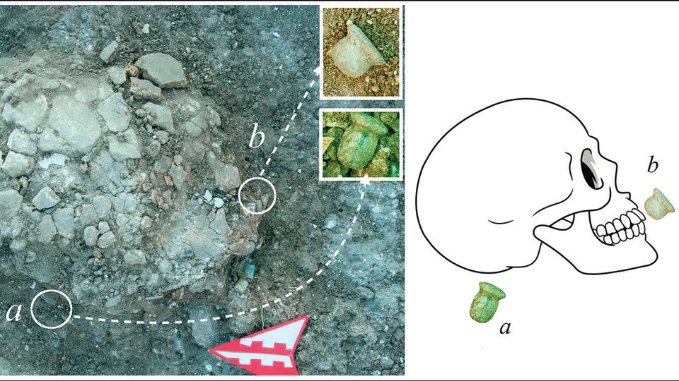 Shown here is one of the skulls from Boncuklu Tarla as it was found in the grave, with artifacts nearby. The object labeled "a" is an ear piercing, and the one labeled "b" is a lip piercing called a labret. - Emma L. Baysal