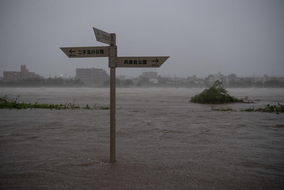 TOKYO, JAPAN - OCTOBER 12: A sign is partially submerged as the Tama River floods during Typhoon Hagibis on October 12, 2019 in Tokyo, Japan. Typhoon Hagibis is the most powerful typhoon to hit Japan this year and has been classed by the Japan Meteorological Agency as a 'violent typhoon' - the highest category on Japans typhoon scale. (Photo by Carl Court/Getty Images)