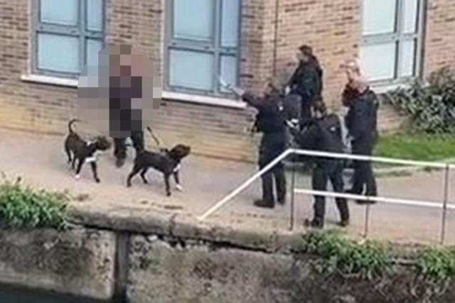 Police confronted the dog owner on Sunday afternoon (.)