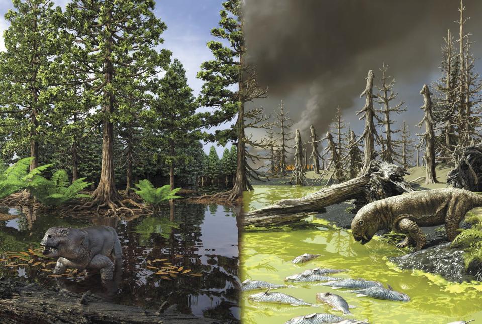 不毛之地：在二疊紀晚期大滅絕事件之前，濕地中遍佈樹木，生長茂密（左圖）。大滅絕事件後，過度繁殖的藻類和細菌阻礙這些生態系恢復生機。
(繪圖：黎胥克（ Victor Leshyk）)