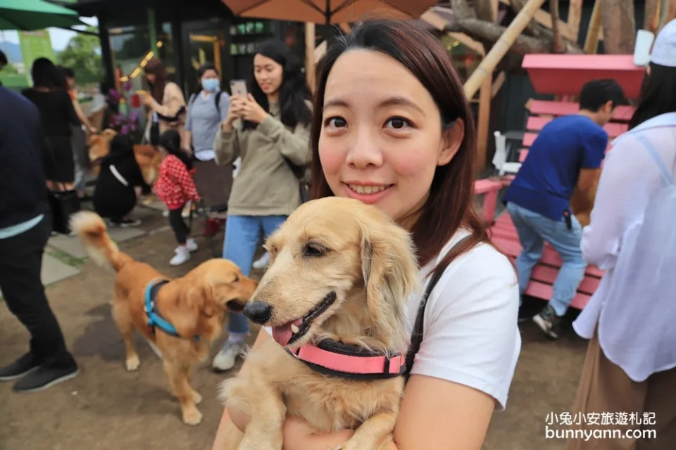 台中景點｜獵犬不打獵寵物餐廳