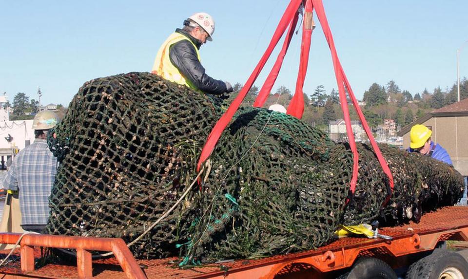 Workers move the skull of a blue whale onto a trailer after it was pulled from and Oregon bay.