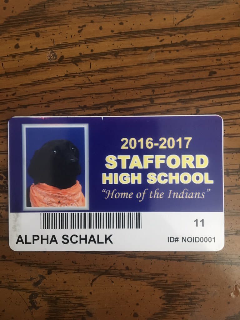 Alpha's ID. (Photo: A.J. Schalk)