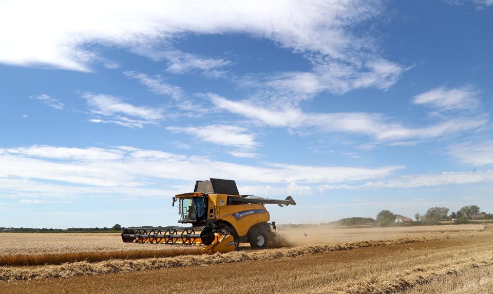 <p>Britons estimated to have constituted between five per cent to 11 per cent of the 70,000 picking and packing needed during last year’s harvest season</p> (PA)