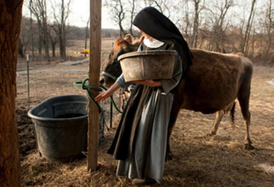 The sisters’ early morning chores include feeding livestock.